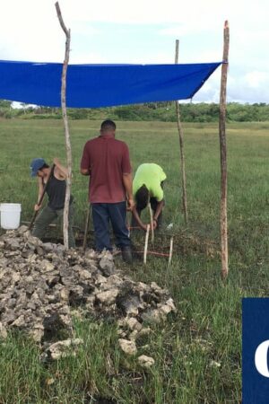 4,000-year-old canals used for fishing by Maya predecessors discovered in Belize