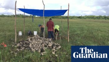 4,000-year-old canals used for fishing by Maya predecessors discovered in Belize