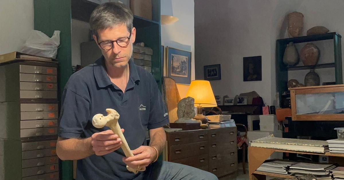 «À 7 ans, j'ai su que je ferais de l'archéologie pour faire parler les morts»: Philippe Charlier, le «Docteur Trop tard»