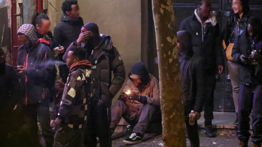 À Paris, Fatou S., mère de famille de 34 ans, approvisionnait-elle en cocaïne les dealers de crack ?