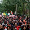 A Paris, la diaspora ultramarine manifeste contre la vie chère en outre-mer