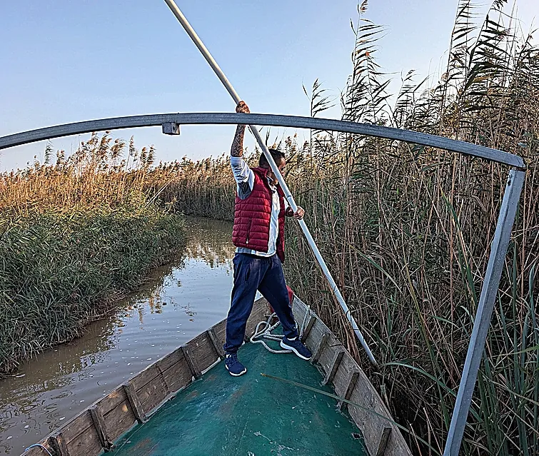 A bordo de una barca con los pescadores arruinados que buscan cadáveres en La Albufera: "Hemos encontrado muchas cosas que jamás se han visto por estas aguas"