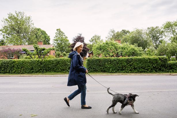 A 'few minutes' of one daily exercise can boost brain health, new study says