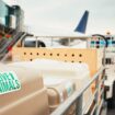 À l’aéroport de Roissy-Charles de Gaulle, une chienne s’échappe de la soute d’un avion et reste introuvable