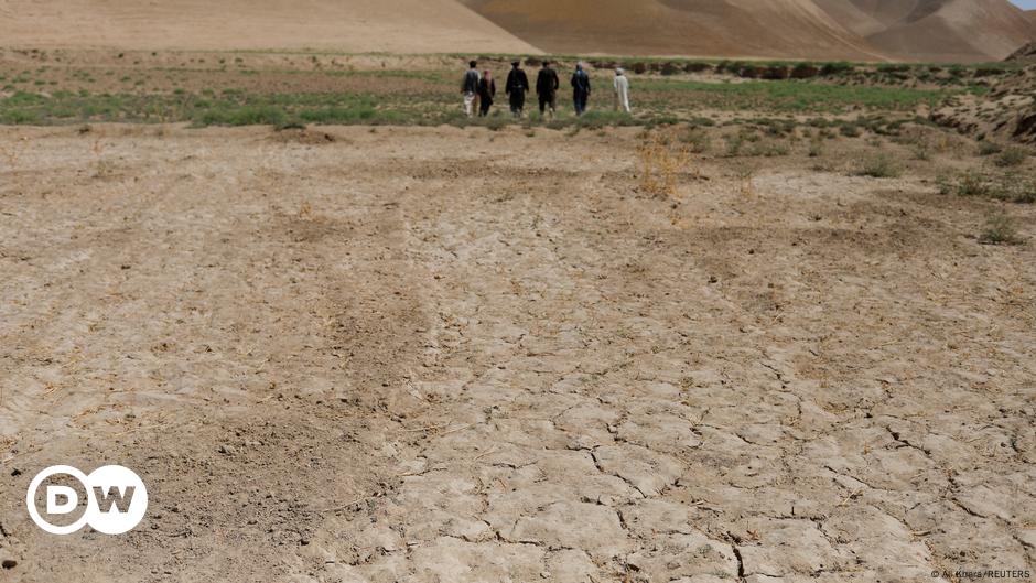 Afghanistan's Taliban send delegation to COP climate summit