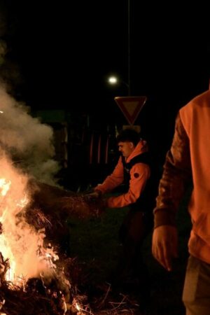 Agriculteurs en colère : port bloqué à Bordeaux, la ministre de l’Agriculture dans le Pas-de-Calais ce jeudi