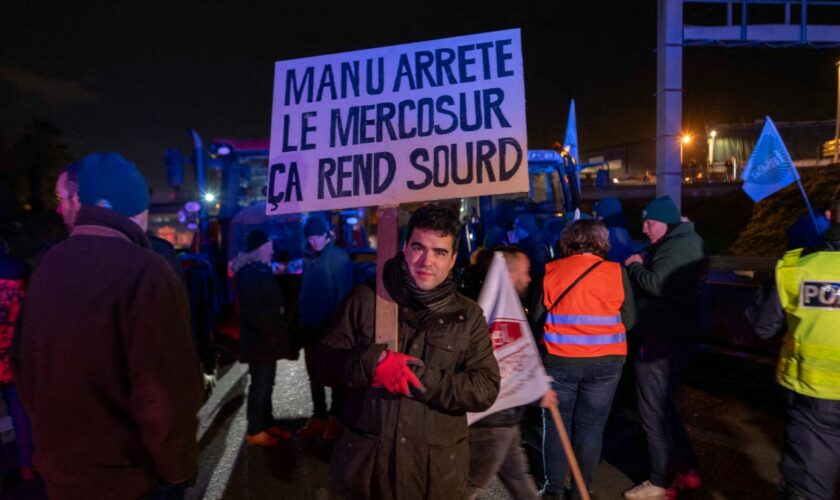 Agriculteurs et éleveurs français, les sacrifiés du Mercosur