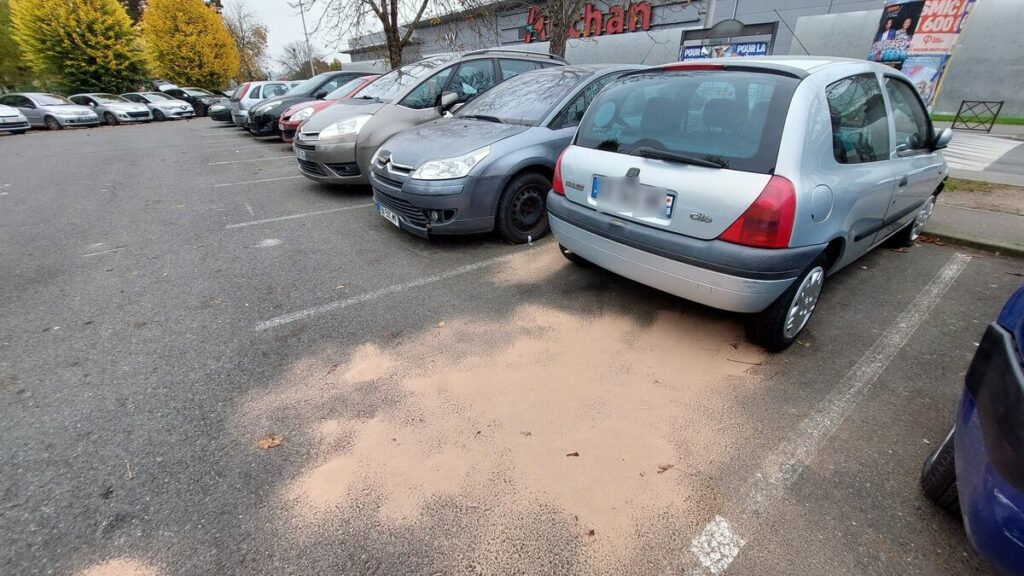 Ali, 17 ans, mortellement poignardé à Sarcelles : « Ce n’est malheureusement pas un fait isolé »