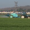 Artificialisation des sols en Seine-et-Marne : sanctuariser des terres agricoles suscite le débat