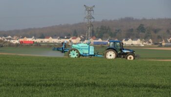 Artificialisation des sols en Seine-et-Marne : sanctuariser des terres agricoles suscite le débat