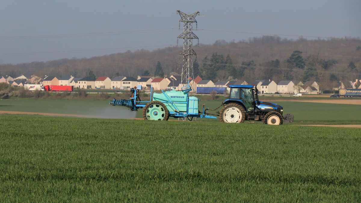 Artificialisation des sols en Seine-et-Marne : sanctuariser des terres agricoles suscite le débat