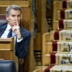 "Ataque de nervios en Moncloa": el PP cree que Aldama "tiene en sus manos el futuro del PSOE"