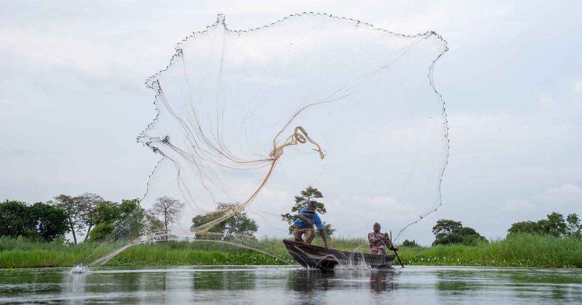 Au Bénin, les nouveaux magiciens de la terre