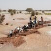 Au Sénégal, des inondations font plus de 56 000 déplacés dans l’est du pays