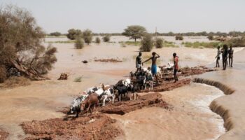 Au Sénégal, des inondations font plus de 56 000 déplacés dans l’est du pays