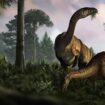 Anhand von versteinertem Kot, Erbrochenem und Darminhalten haben Fachleute die frühe Entwicklung der Dinosaurier rekonstruiert.