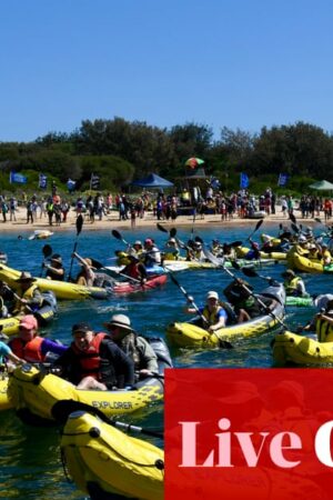 Australia news live: ‘protestival’ to start in Newcastle harbour; thousands to rally against domestic violence