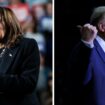 Avortement, politique étrangère... Kamala Harris et Donald Trump, deux visions opposées de l’Amérique et du monde