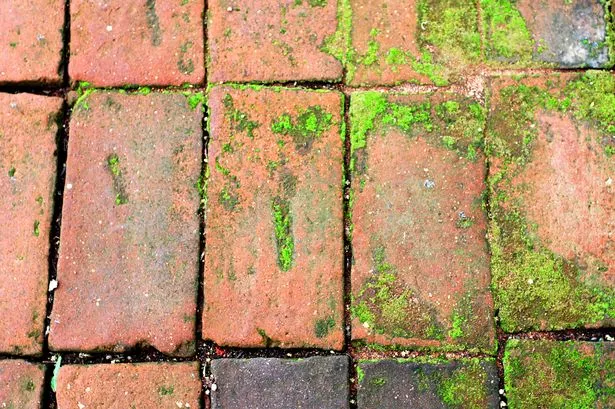 Banish ugly algae and mould from your patio with amazing 35p item