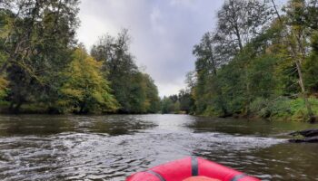 Belgique: Détectée, la loutre n’a jamais été observée dans la Vallée de la Semois