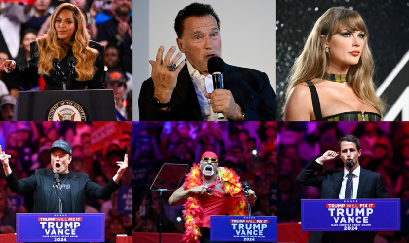 Beyoncé, Musk, Springsteen, Gibson...: Pour qui voteront ces célébrités ?