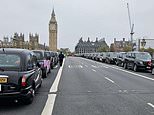 Black cabs line the streets of London to take veterans to and from Remembrance Sunday events for FREE