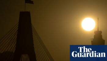 Blackout risk warning as scorching temperatures forecast for parts of NSW