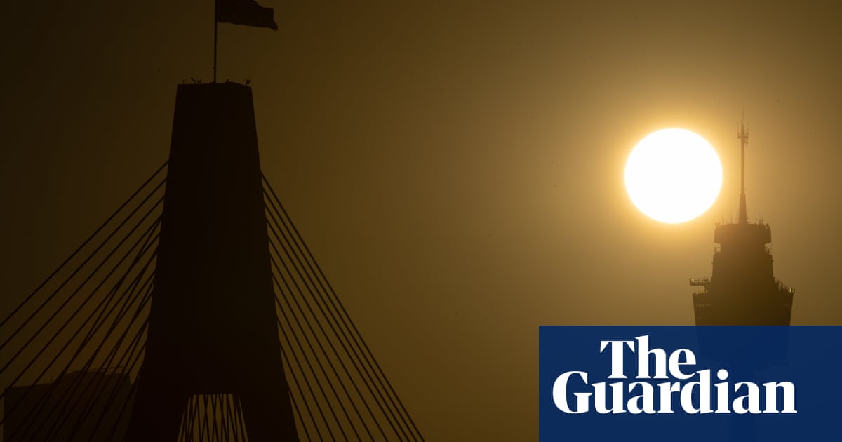 Blackout risk warning as scorching temperatures forecast for parts of NSW