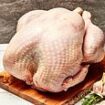 Britain's 'most expensive turkey' is free range, fed on nettles, wild blackberries and fresh oats and will set you back more than £360