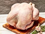 Britain's 'most expensive turkey' is free range, fed on nettles, wild blackberries and fresh oats and will set you back more than £360