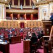 Budget de la Sécurité sociale : le Sénat vote deux rallonges pour la dépendance des personnes âgées ou handicapées