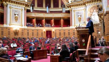 Budget de la Sécurité sociale : le Sénat vote deux rallonges pour la dépendance des personnes âgées ou handicapées