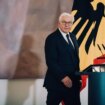 Bundespräsident: Ganz im Hintergrund