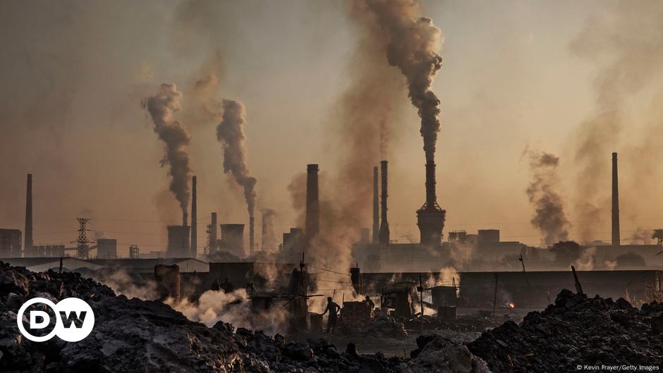 COP29: Global fossil fuel emissions to hit record high in 2024