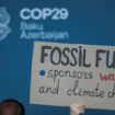 COP29 : à Bakou, une présence massive des lobbyistes des énergies fossiles