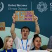 COP29 closes on promise to generate 'at least' $300 billion in climate funding