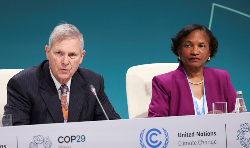 COP29 : face au malaise de l’élection de Trump, la conférence pour le climat entre déni et espoir