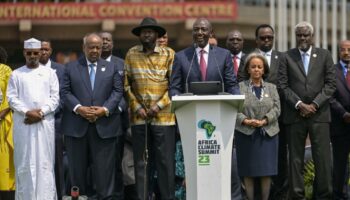 COP29 : l’Afrique, 54 pays, mais une seule voix sur le climat