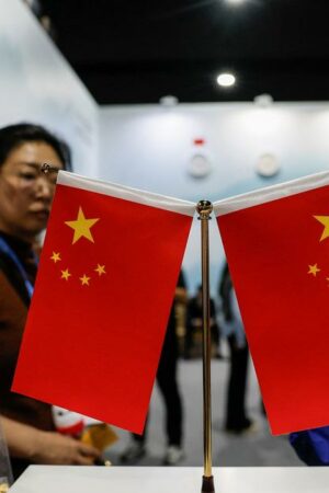 COP29: pourquoi la Chine est-elle toujours rattachée aux pays en développement ?