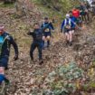 « C’est the place to be » : la forêt de Montmorency accueille le trail le plus dur d’Île-de-France