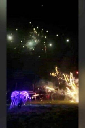 Chaos at fireworks show as children hit by rockets