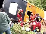 Child, two, and five teenagers among 17 dead after school bus crash in Peru: Students had been on trip at time of tragic crash