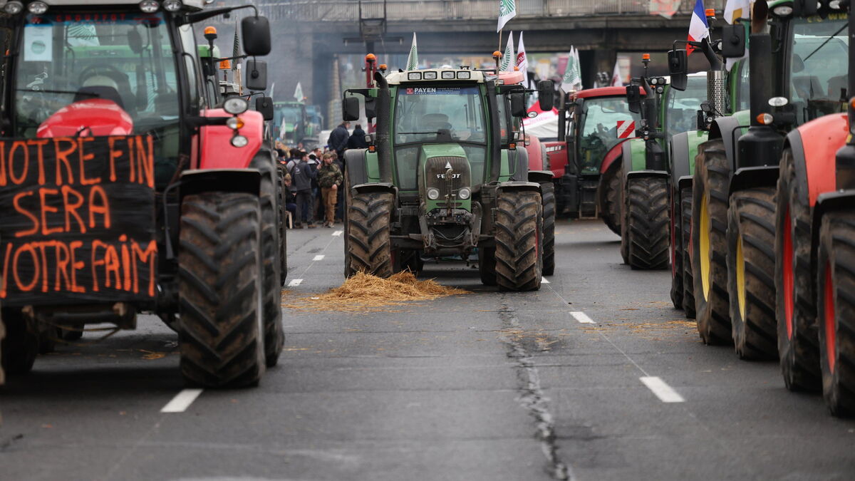 Colère des agriculteurs : 80 départements seront touchés selon la FNSEA, des actions sur les routes dès ce dimanche