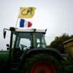 Colère des agriculteurs : déblocage annoncé du port de Bordeaux vendredi ; des centrales d’achat encore bloquées en Charente, dans le Lot-et-Garonne, les Landes et le Tarn