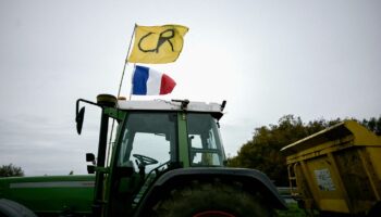 Colère des agriculteurs : déblocage annoncé du port de Bordeaux vendredi ; des centrales d’achat encore bloquées en Charente, dans le Lot-et-Garonne, les Landes et le Tarn