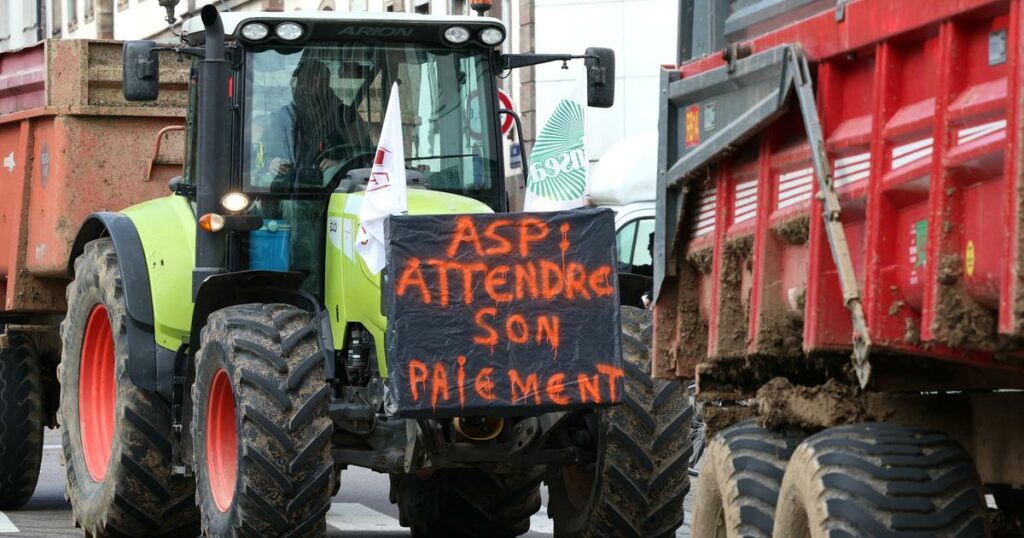 Colère des agriculteurs : des blocages prévus dès ce dimanche