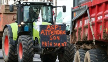 Colère des agriculteurs : des blocages prévus dès ce dimanche