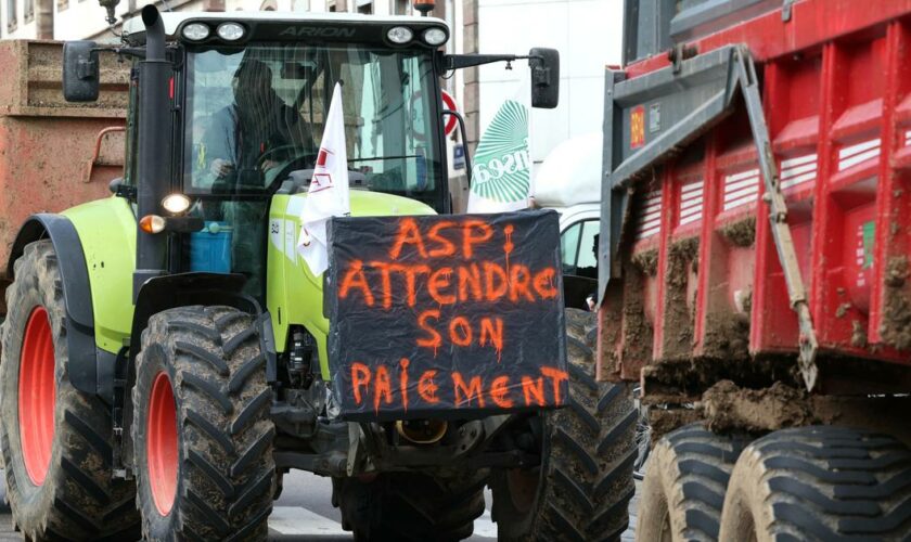 Colère des agriculteurs : des blocages prévus dès ce dimanche