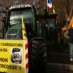 Colère des agriculteurs : des membres des JA de l'Aude bloquent le port de Port-la-Nouvelle