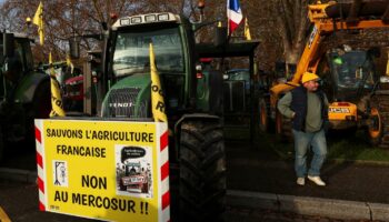 Colère des agriculteurs : des membres des JA de l'Aude bloquent le port de Port-la-Nouvelle